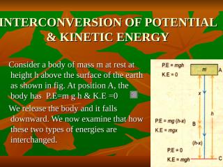interconversion of potential & kinetic energy.ppt