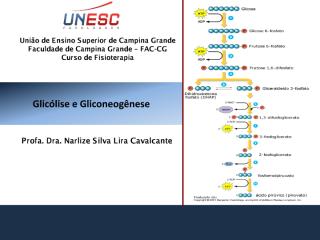 0001988_9. Glicólise e Gliconeogênese.pdf